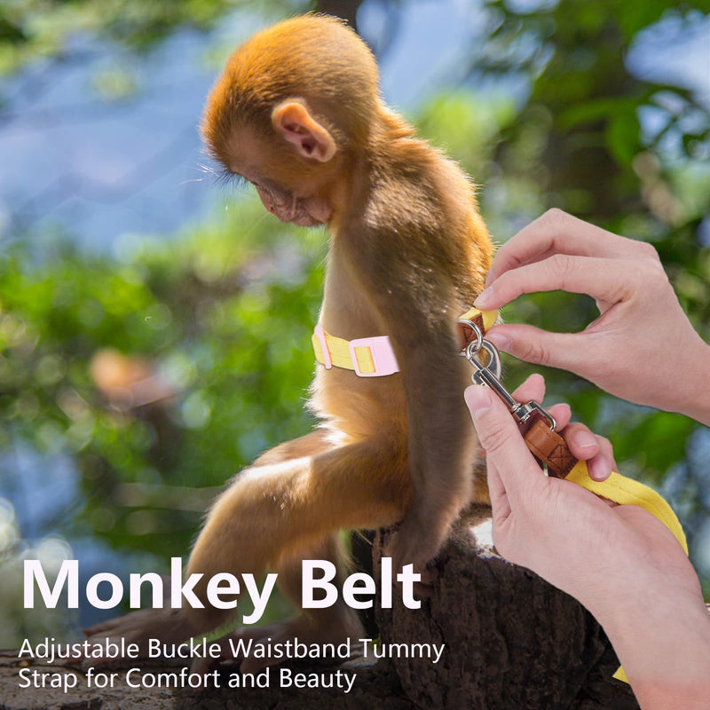 Mini Monkey Leash, Adjustable Monkey Strap with Belly Bands and Matching Leash for Marmoset Monkey, Maximum Dimension 5.7 Inches for Monkey, Comfortable and Durable - PawsPlanet Australia