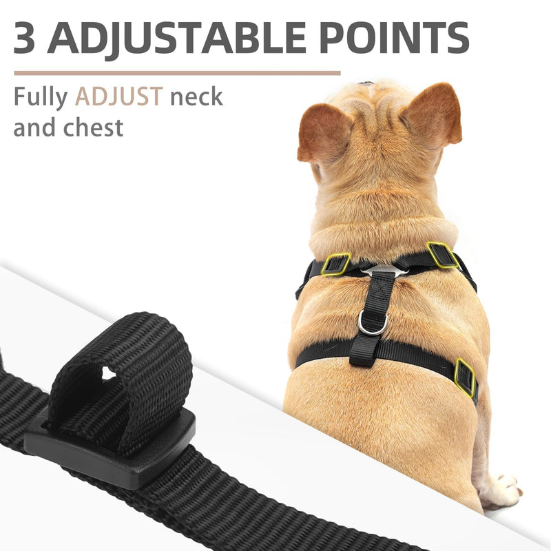PUPTECK Small Dog Harness and Leash Set, No Pull Adjustable Puppy Cat Harness, Reflective Soft Mesh Pet Vest Small Sized S (6-14lbs, Chest 13.5"-18", Neck up to 15") Black - PawsPlanet Australia