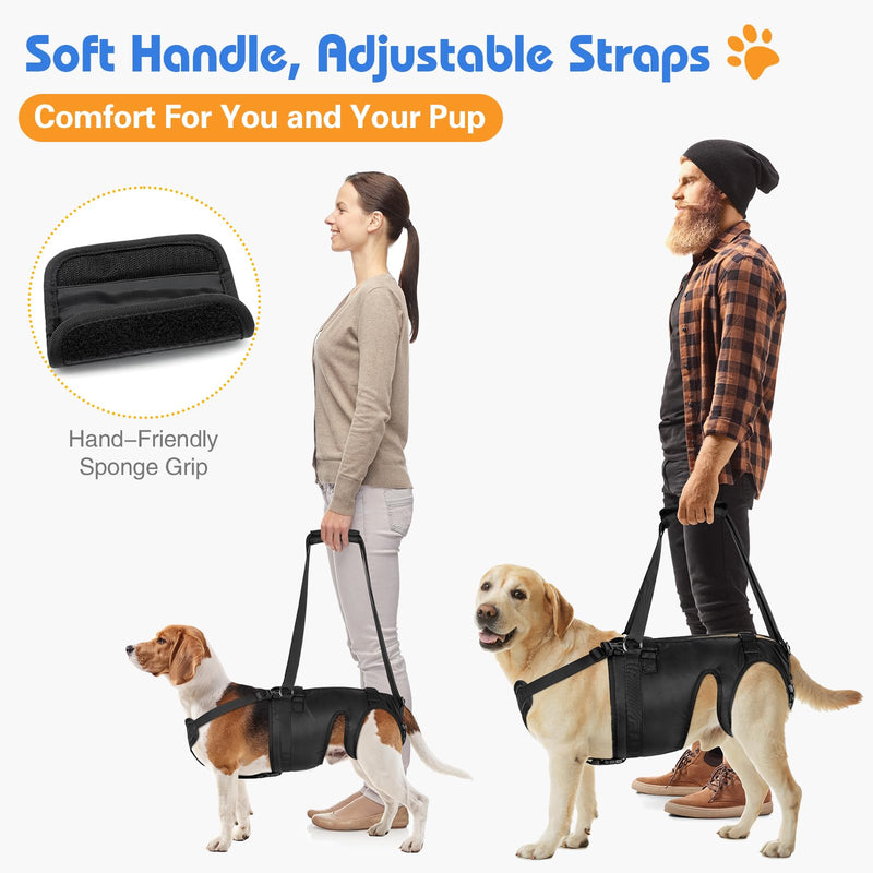 Dog Lift Harness for Large Dogs, Dog Sling for Large Dogs Hind Legs, Dog Back Legs Support Harness Lifting with Handles Dog Hip Support Brace Help for Arthritis Weak Legs Injuries Mobility - PawsPlanet Australia