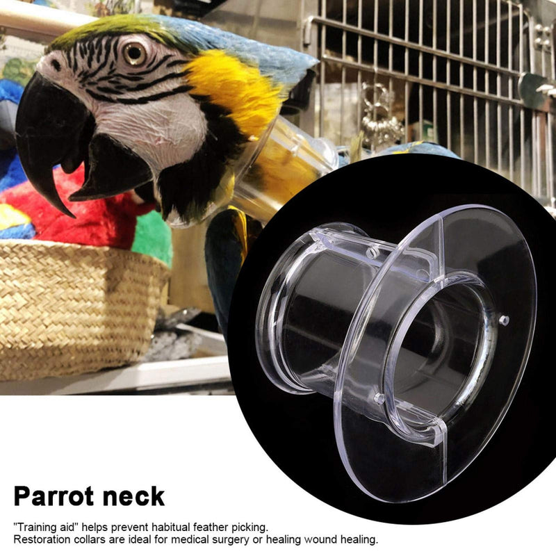 Bird Collar, Bird Recovery Collar Bird Elizabethan Collar Recovery Wound Healing Protective Neck Cover Anti Bite Neck Collar (L) L - PawsPlanet Australia