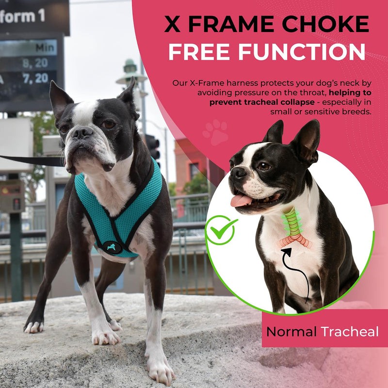 Gooby Comfort X Head-in Harness – Medium Dog Harness (9–15 lbs), Turquoise, No Pull, Choke-Free Design Medium Chest (14.25-18.75") - PawsPlanet Australia