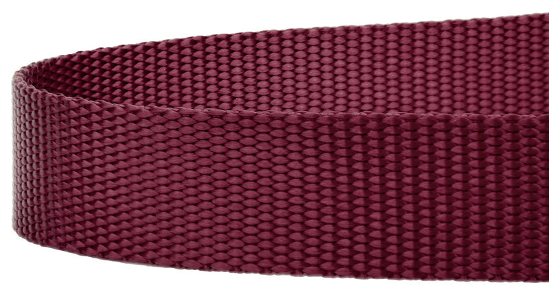 Country Brook Petz - Everyday Nylon Dog Leash - Strong, Durable, Solid Color Leash with Easy to Use Snap - 25+ Colors (1 Inch Wide, 6 Foot, Burgundy) 6 Foot X 1 Inch Wide (Pack of 1) - PawsPlanet Australia