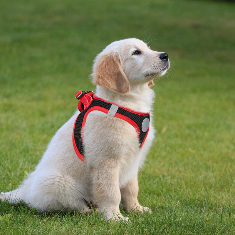 PHOEPET Step-in Dog Harness,Reflective Adjustable Dog Vest Harness, Soft Pet Walking Jacket with 2 Metal Leash Hooks for Dog and Cat(Black Base & Red Straps,S) S (Neck: 10-11”,Chest: 13-14.5”) Black Base & Red Straps - PawsPlanet Australia