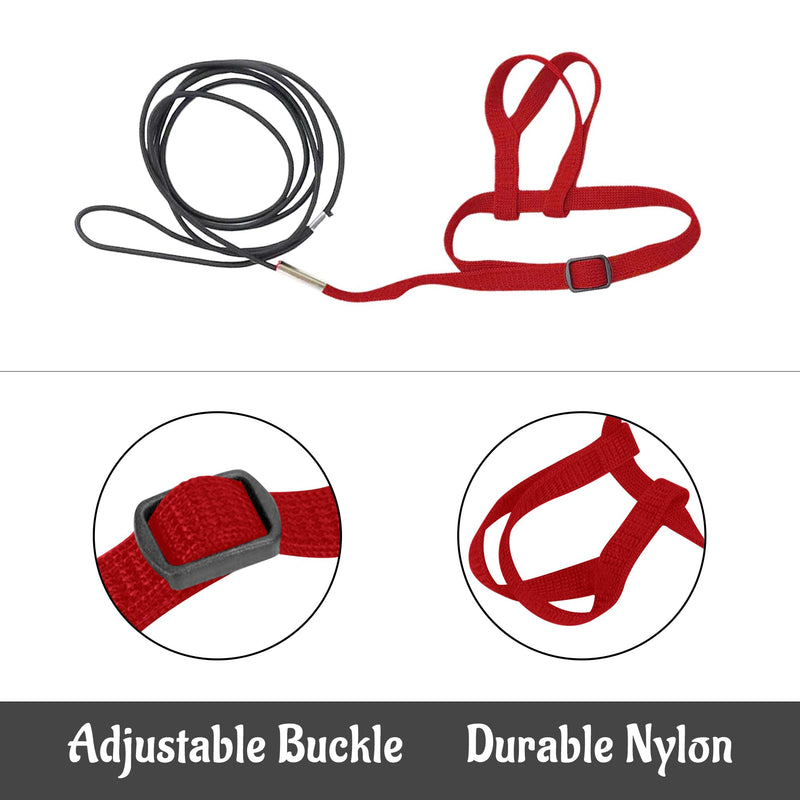 2 pcs Pet Parrot Bird Harness and Leash, Adjustable Training Design Anti-Bite, Outdoor Flying Training Rope Kit for Bird Parrots Fits Birds Chest Between24-51cm /9.45-20inch - M (red red - PawsPlanet Australia