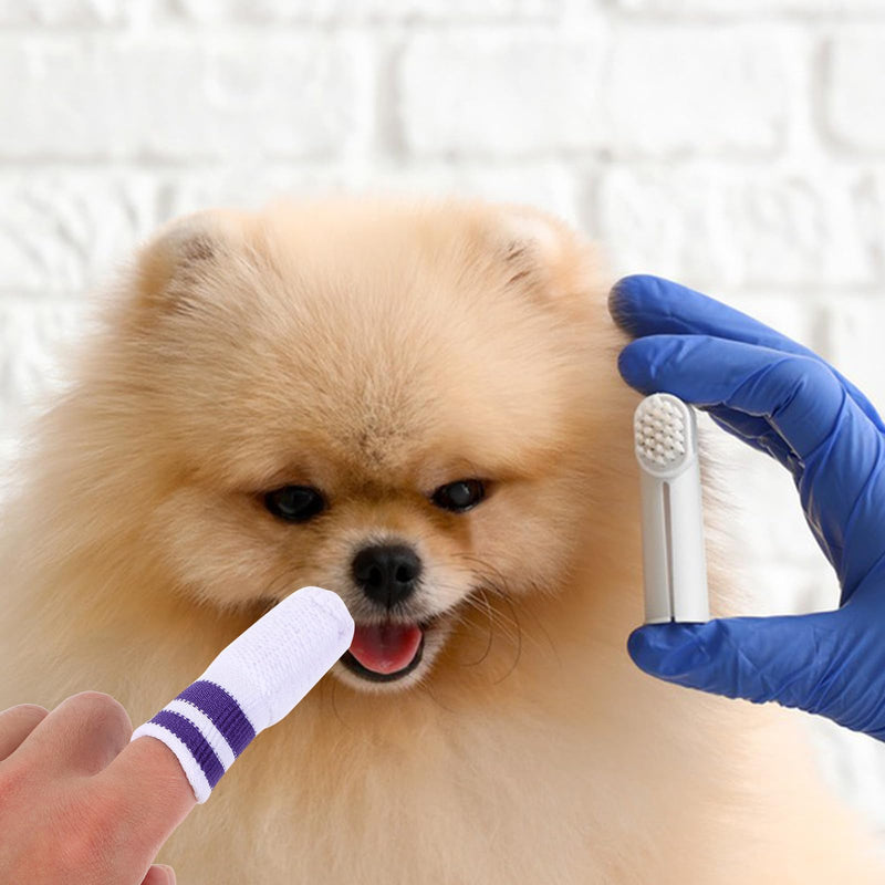 STOBAZA Nylon Finger Toothbrushes Promotes Fresh Breath for Dental Care and 6 Pieces Provides a Comfortable Cleaning Experience for Dogs and Cats for Pet Owners