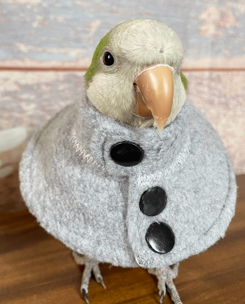 Adjustable Recovery Bird Cone Collar, Elizabeth Protective Collar, Safe and Practical Neck Sleeve for Preventing Bite and Licking Wound Healing with Snap Fastener Random Color (Large) Large - PawsPlanet Australia