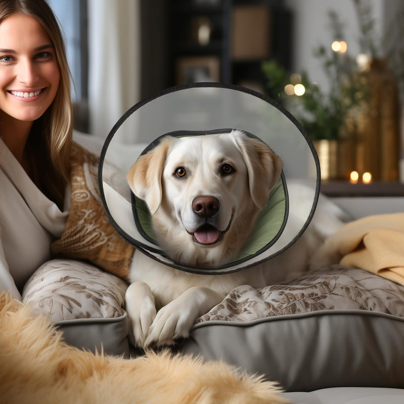 Soft Dog Cone Collar for Large Medium Dogs, Dog Cones for Dogs After Surgery, Adjustable Dog Recovery Collar, Lightweight E-Collars for Dogs, Elizabethan Collar (L) L (11.4", 13-17") - PawsPlanet Australia