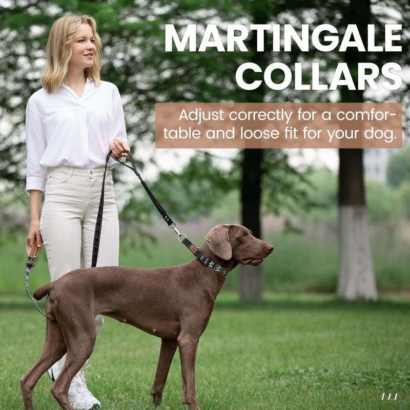 ANDA Martingale Collar for Dogs, Double-Layered Composite Material with Buckle,No-Pull Training Collar for Easy Control with no Choking (Chevron Black, Medium) Chevron Black - PawsPlanet Australia