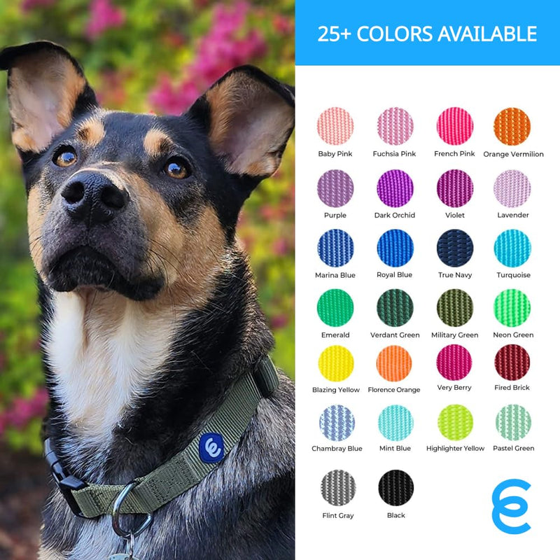 Blueberry Pet Essentials Matching Medium Dog Collar & Key Holder Set | Adjustable Classic Solid Color Nylon Collars for Medium Dogs w/Key Holder for Pet Owners Turquoise + Key Holder - PawsPlanet Australia