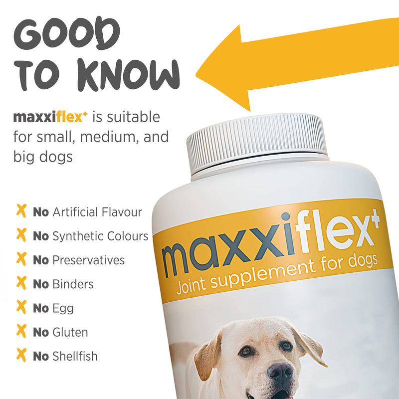 maxxipaws - maxxiflex+ Hip & Joint Supplement for Dogs with Glucosamine, Chondroitin, MSM & Collagen | Mobility, Flexibility & Discomfort Support | Senior, Adult & All Breeds | 120 Tablets 120 Count (Pack of 1) - PawsPlanet Australia