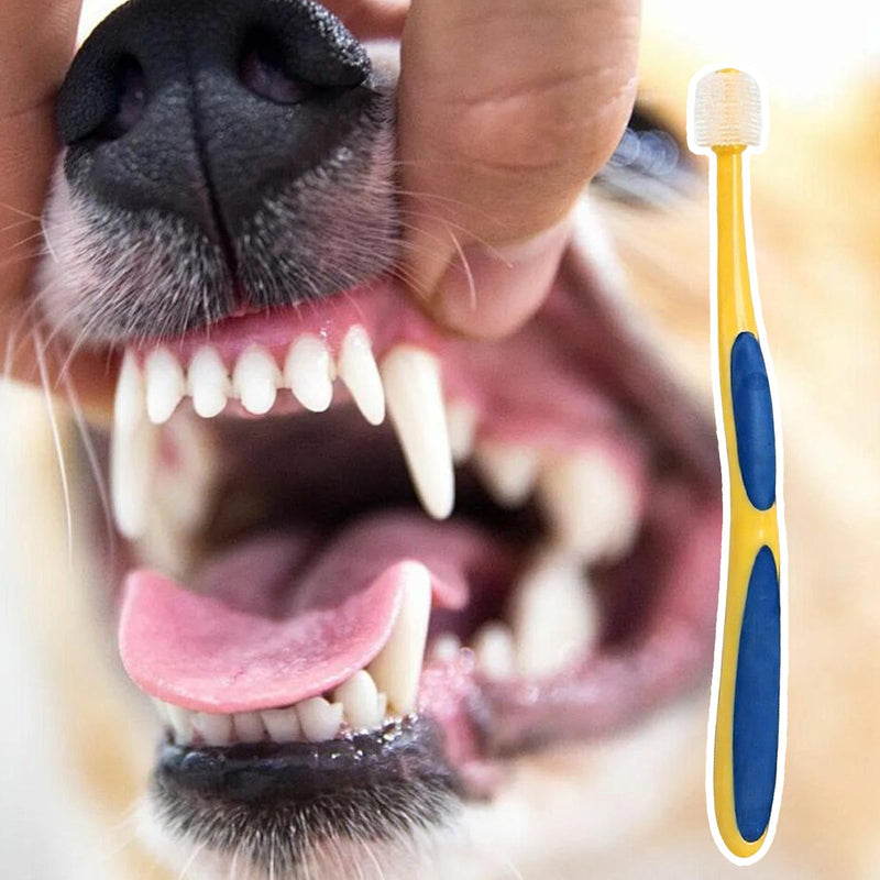 Cat Toothbrush, Soft Bristle Cleaning Tool | Pet Toothbrush, For Kittens, Puppies, Seniors, Small & Large Breeds, For Pet Health, 360 Degree Brush Head