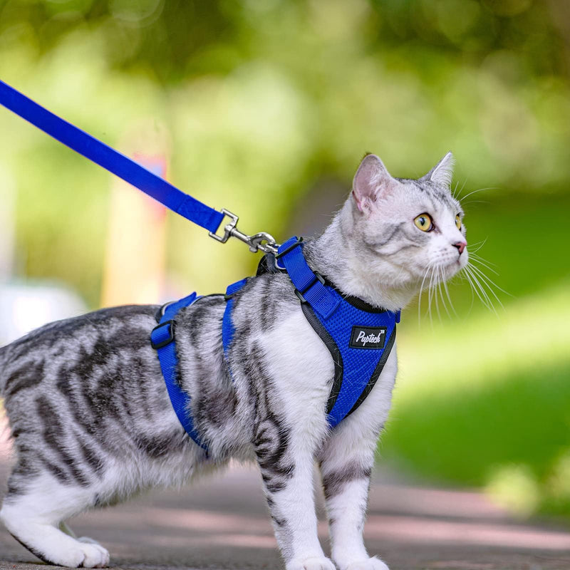 PUPTECK Cat Harness and Leash Set Escape Proof for Walking, Breathable Mash Vest Adjustable Harness for Cats Puppy Small Animals, Reflective at Night, Blue Medium M: Neck 11.4"-15.3", Chest 12.8"-20" - PawsPlanet Australia