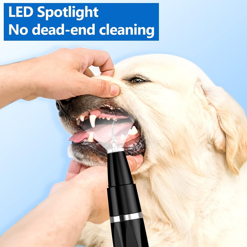 Plaque Remover for Teeth - Pet Ultrasonic Cleaner - Teeth Cleaning Kit for Tartar and Stains - Suitable for Dogs and Cats (Black) Black