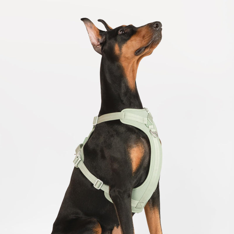 All-Weather No Pull Dog Harness Reflective Vest Harness QR Code Anti-Lost Adjustable Quick-Release Buckle Soft Padded Breathable Harness for Small Medium Dogs (Light-Burgundy, S) Light-Burgundy - PawsPlanet Australia