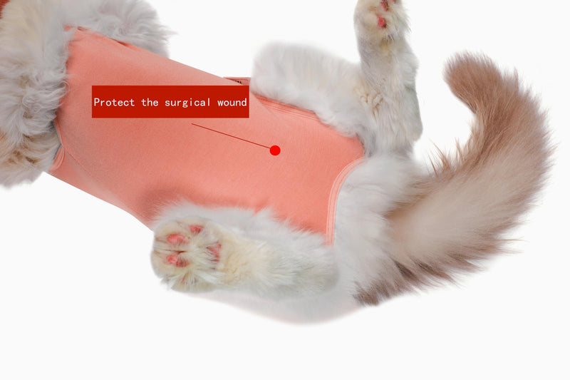 Cat Recovery Suit Female Kitten Cat Onesie for Cats After Surgery Female Spay Surgical Abdominal Wound Skin Diseases Cone Collar Soft Alternative Wear (Orange, M) orange Medium - PawsPlanet Australia