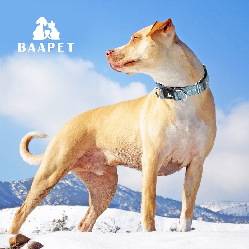 BAAPET Comfortable Dog Collar with Double Security Dual D-Ring and ID Tag Hanger for Small Puppy, Medium and Large Dogs (XS - 3/4" x (9"-13"), Grey) XS - 3/4" x (9"-13") - PawsPlanet Australia