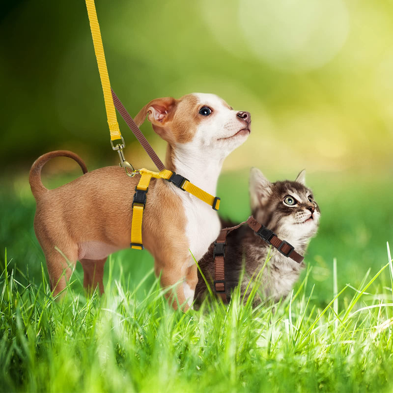 Outus 5 Pieces Adjustable Rabbit Harness and Leash Set Escape Proof Bunny Harness Vest for Pet Running Walk Jogging Leash Harness for Bunny Cat Puppy Kitten Ferret and Other Small Pet(Vivid Color) Vivid Color - PawsPlanet Australia