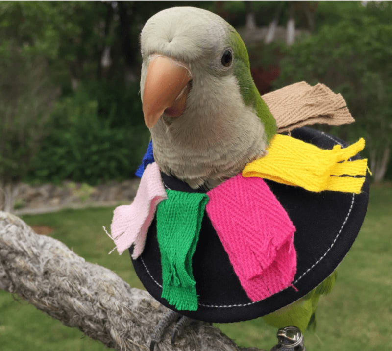 Adjustable Bird Collar Anti Bite Elizabethan Recovery Cone, Bird Neck Protector for Feather Plucking, Skin-Friendly Bird Neckwear Full Body Shield for Parakeet Conure Cockatiel (L), Black L - PawsPlanet Australia