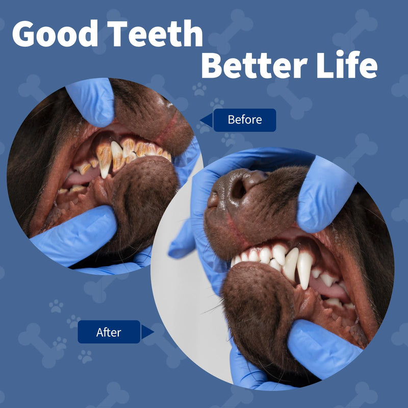 Dog Plaque and Tartar Remover,Ultrasonic Plaque Remover for Teeth with LED Light,3 Modes Low Noise Sonic Dog Tooth Cleaning Kit Tool for Pet Dental Care,White - PawsPlanet Australia