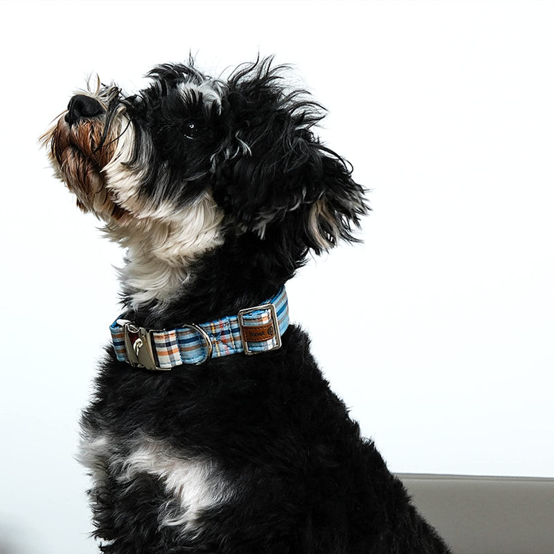 Lionet Paws Boy Dog Collar, Comfortable Adjustable Cute Blue Plaid Collar with Metal Buckle for Male Dogs, Medium, Neck 13.5-22 inches Medium (Pack of 1) Blue Grid - PawsPlanet Australia