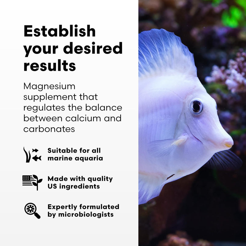 Brightwell Aquatics Magnesion Liquid Salt Water Conditioner - Concentrated Magnesium Supplement For Reef and Marine Aquariums, 16.9 fl oz 500-ml