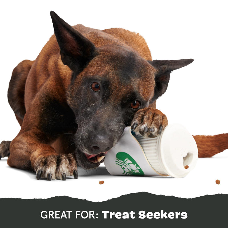Barkbox Pupkin Spice Latte Plush Dog Toy – Plush Dog Toys – Puppy and Pet Toys for Medium to Large Dogs M/L - PawsPlanet Australia
