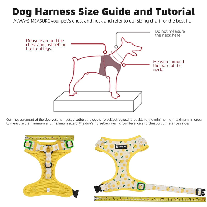Dog Harness and Leash Set, Adjustable Dog Harness, Dog Leash, No Pull No Choke Puppy Harnesses for Walking Training for Small, Medium Pet (Little Love, S(Chest 14-19.6", Neck 10.6-13")) S(Chest 13 - 19", Neck 9.5 - 13.1") Little Love - PawsPlanet Australia