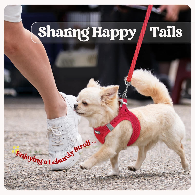 rabbitgoo Dog Harness Small Sized and Leash Set, Step in Soft Light Puppy Vest, Breathable Mesh Pet Harness, Reflective for Safe Easy Walking, Red M M (Chest: 16 - 18.5") - PawsPlanet Australia