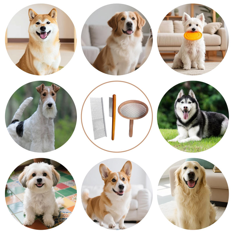 3 Pcs Slicker Brush for Doodle Dogs - Wooden Handle Grooming Comb Set for Goldendoodle, Labradoodle, Poodle - Detangling Tool for Wavy & Curly Hair, Mats & Tangles Removal (Small/Big Dogs & Cats)