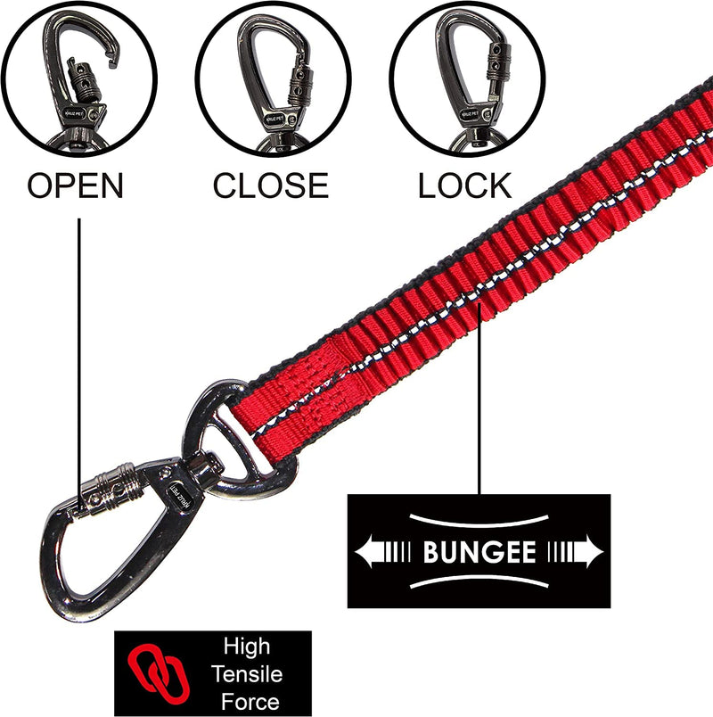 KRUZ PET KZV2072 6 FT Bungee Leash – Wearable Jogging Leash – Over the Shoulder and Waist Hands-Free Leash – Strong Reflective Heavy Duty Safety Leash with Locking Carabiner Clip – Easy Snap Function Gray Large: 1” X 6FT - PawsPlanet Australia