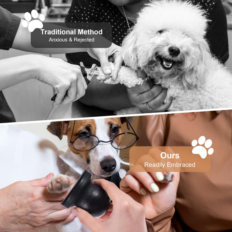 Dog Nail File with 6Pcs Replaceable Filing Disc, Dog Scratch Board for Safe and Easy Nail Care, Dog Nail Scratch Board Ensures Smooth and Healthy Nails for Dogs and Cats - PawsPlanet Australia