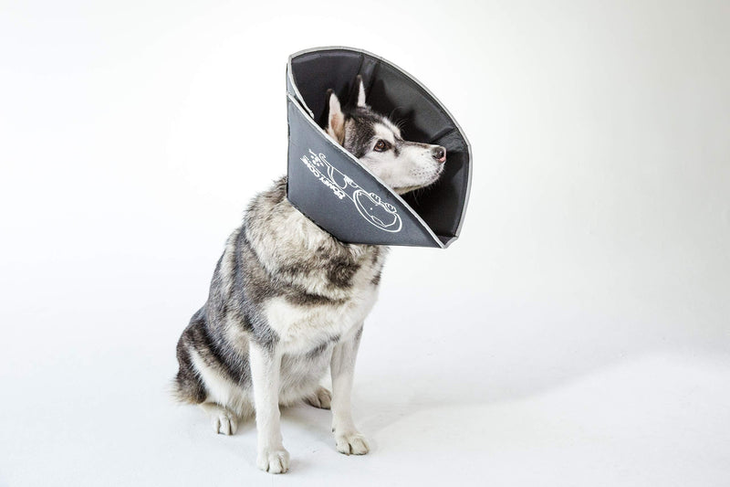 Comfy Cone Pet Cone for Dogs, Cats, Large, Black - Comfortable Soft Dog Cone Collar Alternative for After Surgery, Wound Care, Spay, Neuter - Dog and Cat Recovery Collar L(Neck Circ 15-18.5")(Neck to Snout 10") - PawsPlanet Australia
