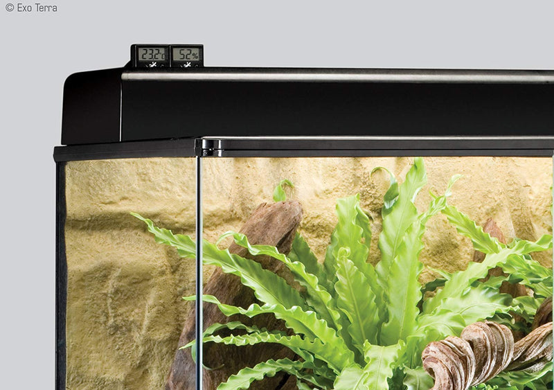 Exo Terra LED Thermometer and Hygrometer Bundle for Reptile Terrariums - PawsPlanet Australia