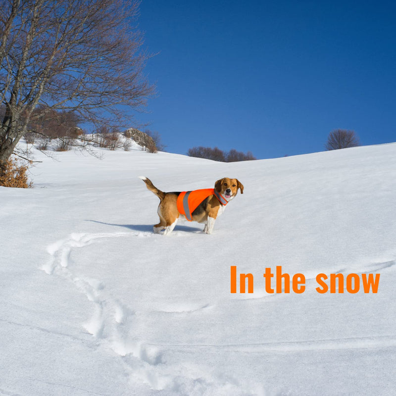 Dog Hunting Vest Blaze Orange Outdoor Safety Dog Vest High Visibility Reflective Dog Vest for Dogs Avoid Mistaken of Hunter, Prefect Accessories for Dog Walking,Hunting,Camping,Out Door Activities. L - PawsPlanet Australia