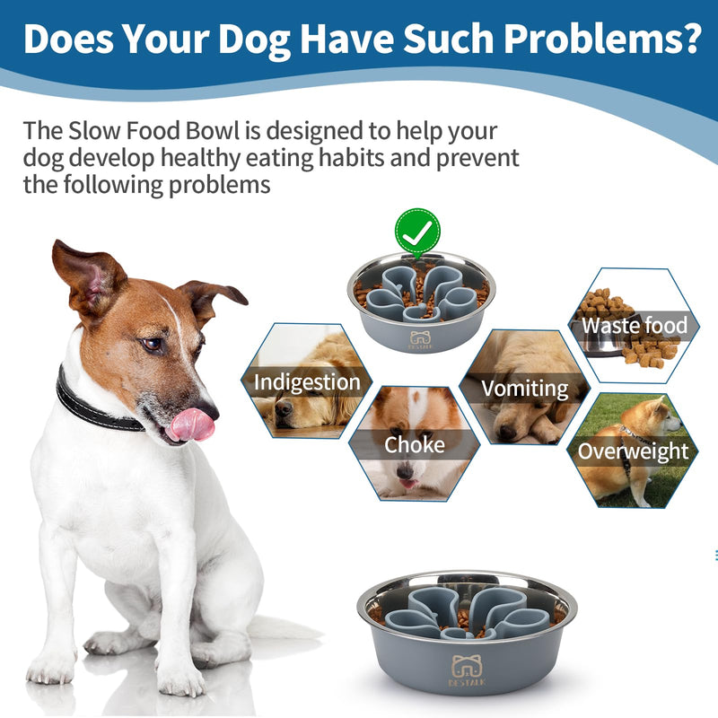 Stainless Steel Slow Feeder Dog Bowl, Bestalk 2-in-1 Metal Dog Bowls with Silicone Slow Feeder Insert for Small, Medium, Large Dogs(Grey, 1 Cup) - PawsPlanet Australia
