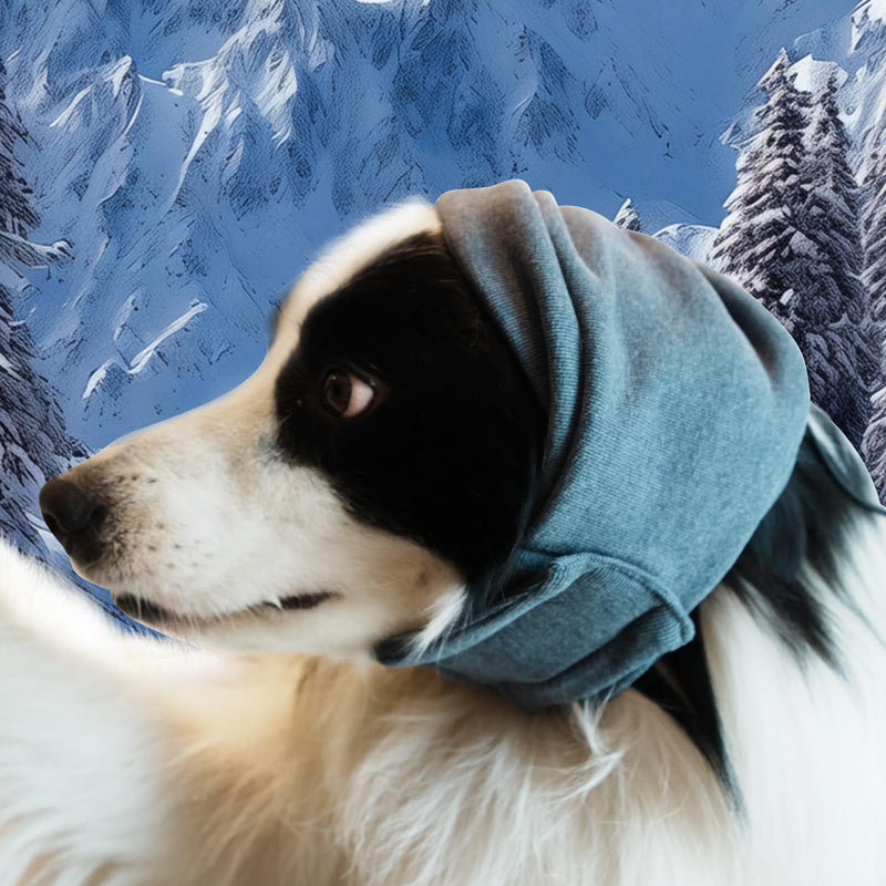 Rizzco Ear Guards for Dogs and Cats - Headband for Anxiety Relief, No-Flap Ear Wraps, Soft Ear Muffs for Noise Protection, Sleeping, Fireworks, Grooming, Drying, and Thunderstorms Large(Head Girth:18.5"-24.4") - PawsPlanet Australia