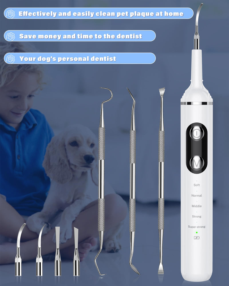 Plaque Remover for Teeth, Pet Tooth Brushing Kit, Dental Tools to Remove Plaque and Tartar, Safe for Dog and Cat, with LED Light, White - PawsPlanet Australia