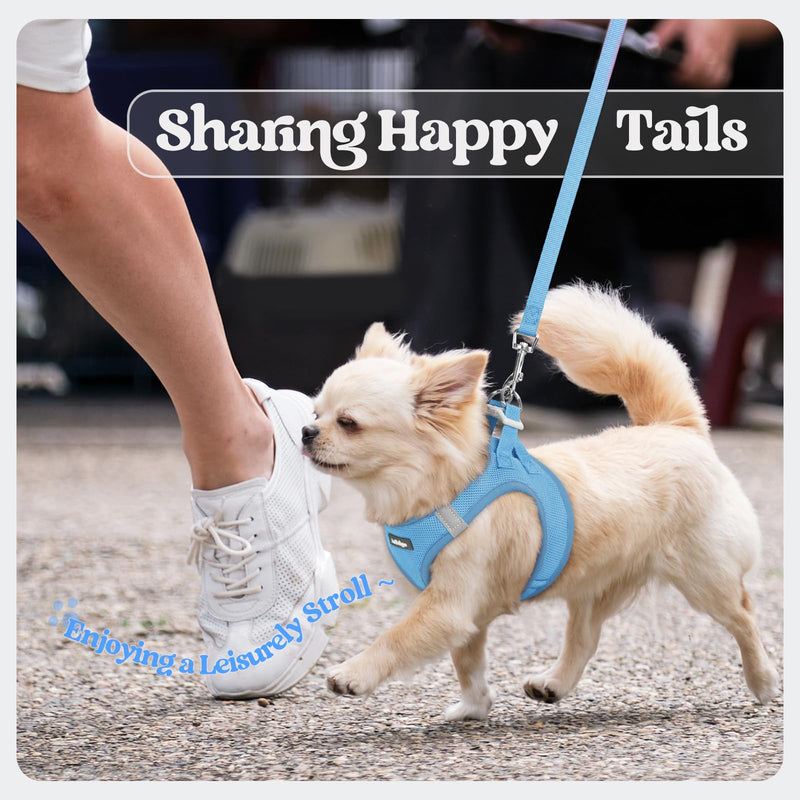 rabbitgoo Dog Harness Small Sized and Leash Set, Step in Soft Light Puppy Vest, Breathable Mesh Pet Harness, Reflective for Safe Easy Walking, Blue S S (Chest: 15.1 - 16.5") - PawsPlanet Australia