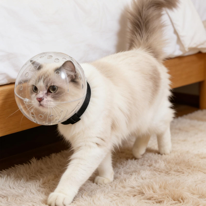 OSALADI Breathable with shockproof design Transparent cat head protector made of ABS and adhesive closure Decorative and secure collar Random style for outdoor use