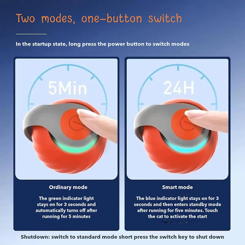 Speedy Tail 2.0 Cat Toy, 2025 New Speedy Tail Cat Toy, Interactive Cat Ball Toy, USB Rechargeable Smart Cat Toys Ball, Two Speed Adjustment, with Replacement Tail (Orange) Red - PawsPlanet Australia