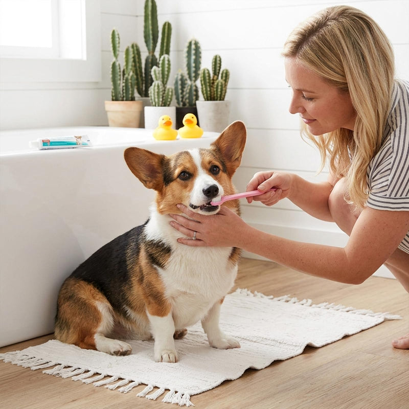 8-Piece Dog Toothbrush Set, Soft Dog Toothbrush for Small Dogs, Cats, and Puppies, Mini Portable Travel-Friendly and Easy to Use for Puppies