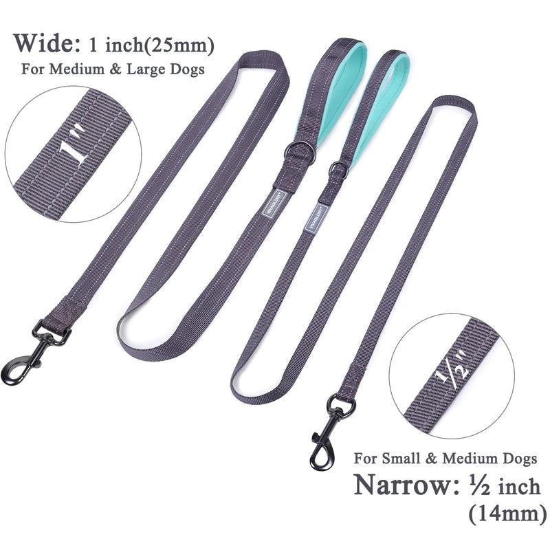 VIVAGLORY Dailyx Dog Leash, Puppy Leash for Training & Walking with Soft Padded Handle, Heavy Duty & Double Layer Nylon for Pet Puppy, 5ft x 1in, Grey Leash (5 ft. x 1 in.) - PawsPlanet Australia