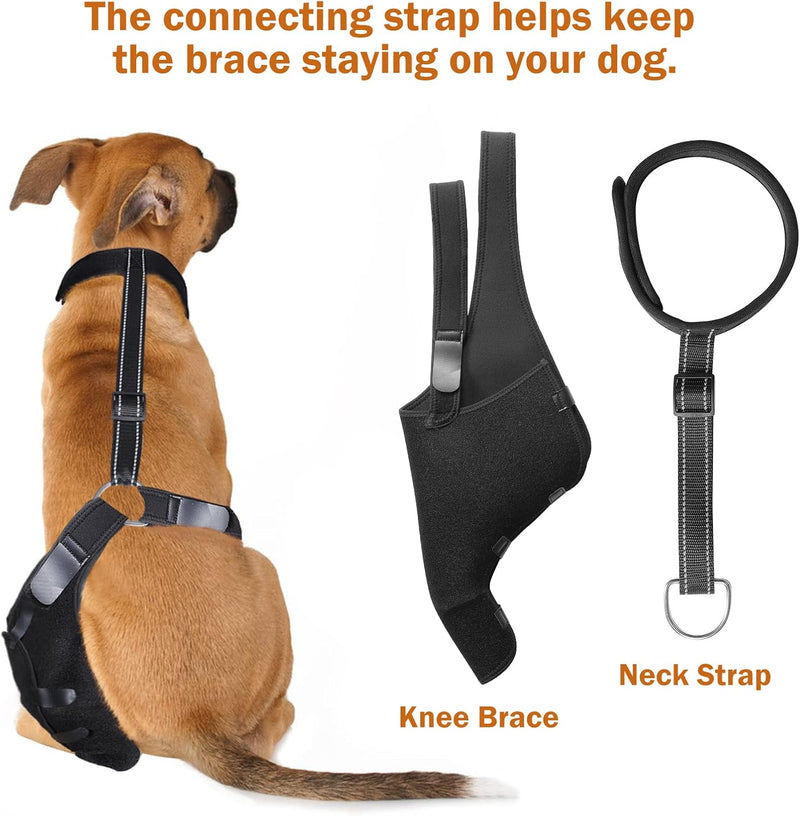 Dog Knee Brace for Torn ACL Hind Leg, Cruciate Ligament Injuries, Patella Dislocation, Double Straps and Comfortable Dog Leg Braces for Back Leg Support (Left- X Large) Left- X large - PawsPlanet Australia