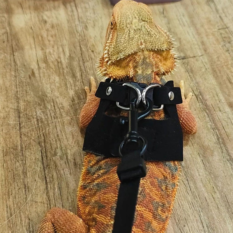 KABASI Bearded Dragon Harness Leash Set, 3 Size Adjustable Lizards Training Walking Leather Vest Escape-Proof Traction Rope for Squirrel and Other Outdoor Small Reptiles (Black) Black - PawsPlanet Australia