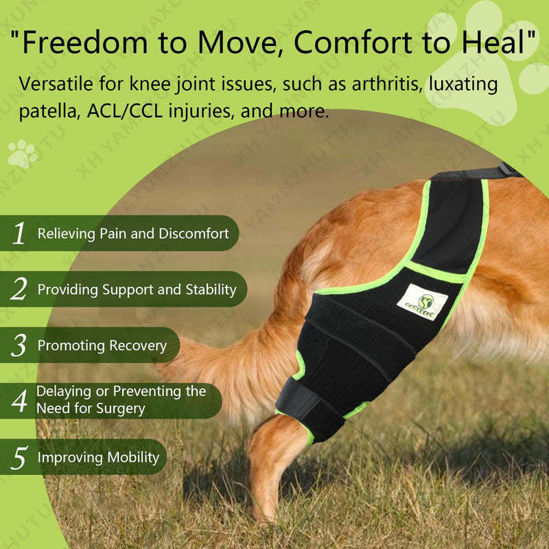 Dog Knee Brace for Hind Legs with Extra Collar & Strap - Relieves Joint Pain & Discomfort, Enhances Mobility | Supports Recovery from Osteoarthritis, Torn ACL/CCL, Luxating Patella | Adjustable (L) Large - PawsPlanet Australia