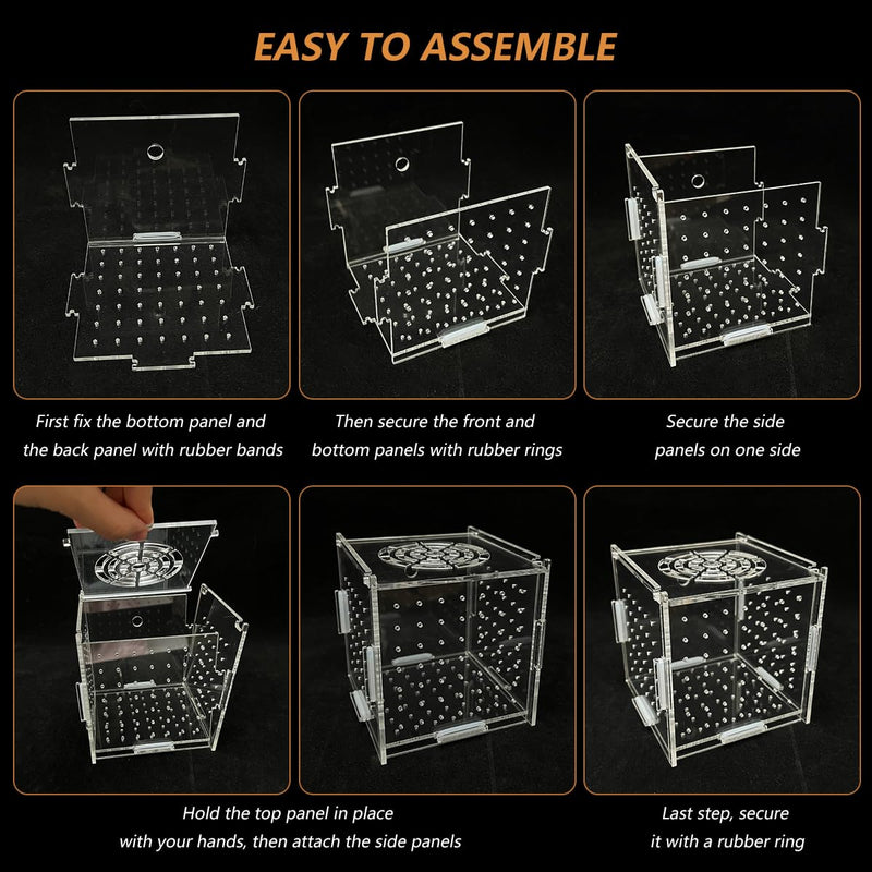 Acrylic Fish Breeding Box, Transparent Fish Isolation Box Hatchery Incubator with Suction Cups for Aquarium Fish Tank Guppy Shrimp Clownfish African Cichlids (4 * 4 * 4inch) 4*4*4inch - PawsPlanet Australia
