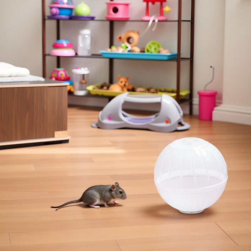 Transparent Hamster Exercise Balls 3.9 Inch Diameter Quiet Spinner Dwarf Hamster Running Exercise Ball for Gerbils Small Animals,Small Animal Toys Transparent - PawsPlanet Australia