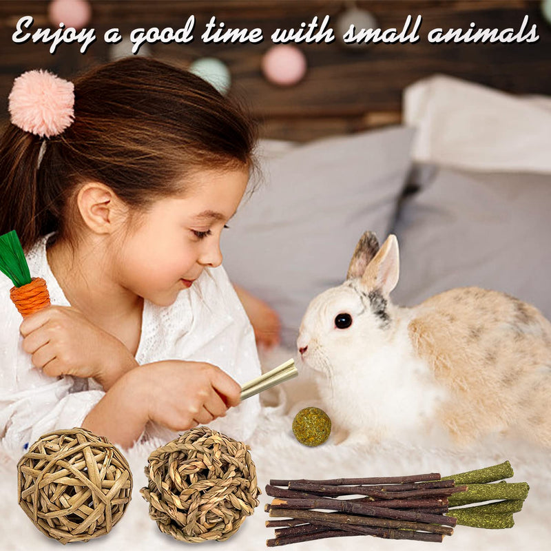 Rabbit Chew Toys Guinea Pig Toys Bunny Toys Natural Timothy Hay Sticks Hamster Chew Toys for Teeth and Apple Sticks for Rabbits chinchilla ball Gerbil Toys Set 1