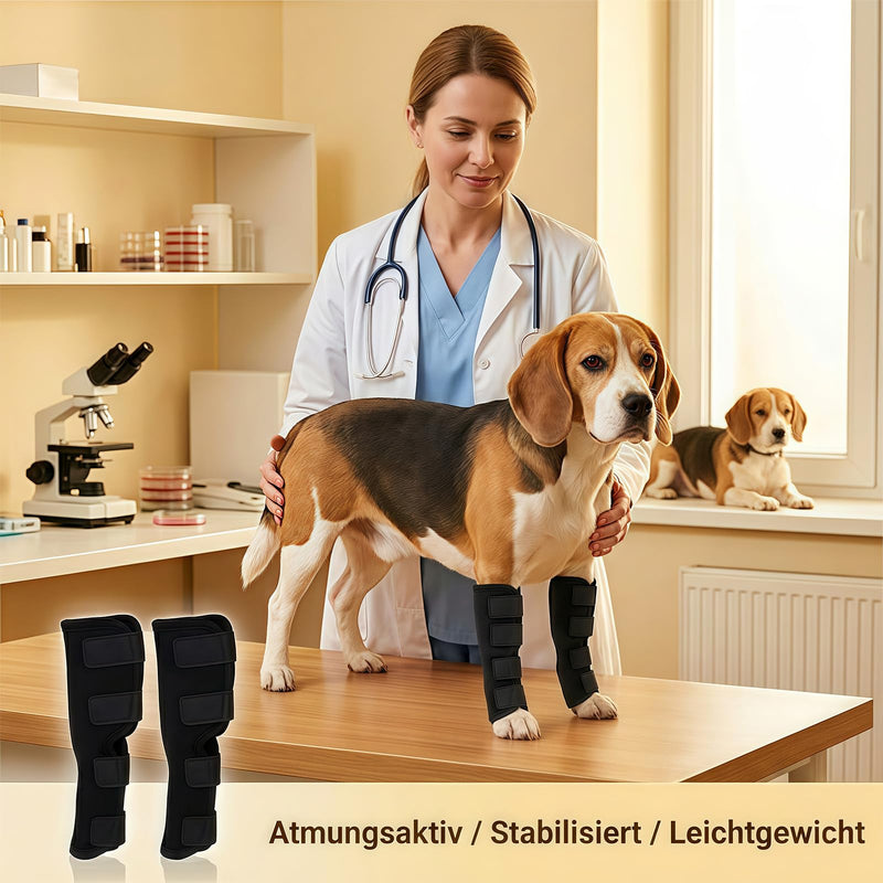 2 Pieces Knee Brace for Dog Hind Leg, Ankle Brace for Dogs, Comfortable, Adjustable, Licking Protection for Dog Hind Leg, Dog Leg Bandage for Wrapping Wounds and Injuries, for Wound Healing, M