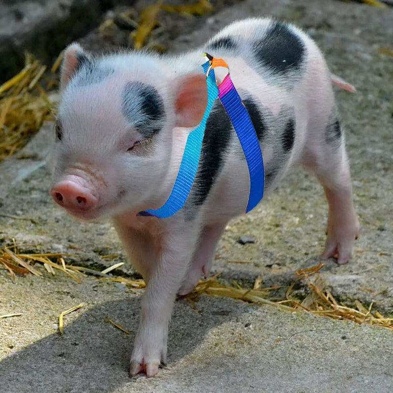Mini Pig Harness, 2 Pieces Adjustable Small Pig Harness with Leash Set Pet Pig Harness Supplies Harness Set for for Hog Piggy Rabbit Small Animals Walking Jogging (S, Multicolor) S - PawsPlanet Australia